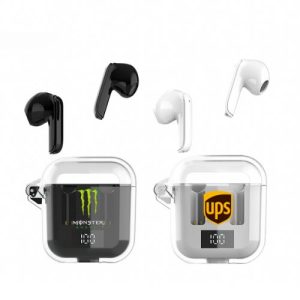 Custom In-Ear Earphones