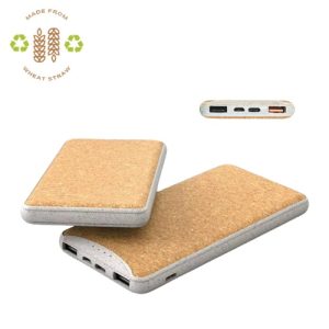Custom Eco Power Bank