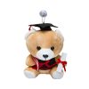 Custom Graduation Bear Soft Toy - custom corporate gift Malaysia