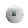 Custom Printed Football Team Crest Malaysia Custom printed football with a full-colour team crest printed on the panel, Malaysia